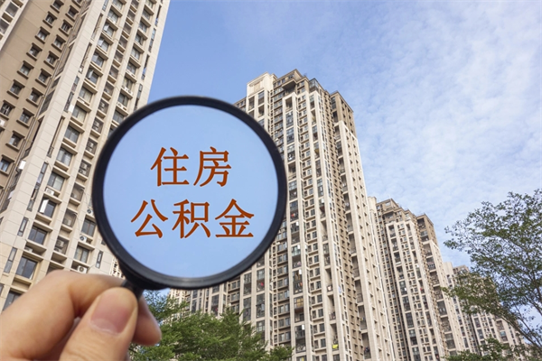 红河离职可以取出公积金吗（离职可以取公积金嘛）